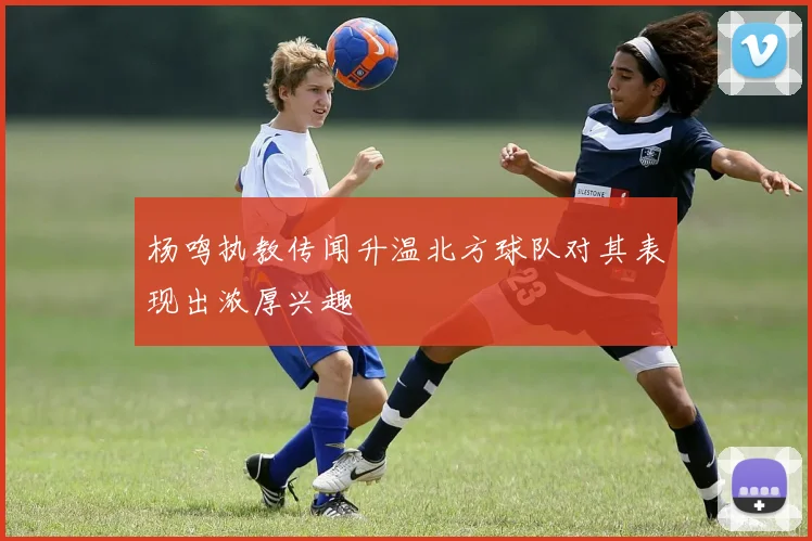 杨鸣执教传闻升温北方球队对其表现出浓厚兴趣